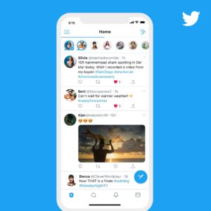 Twitter-Fleets